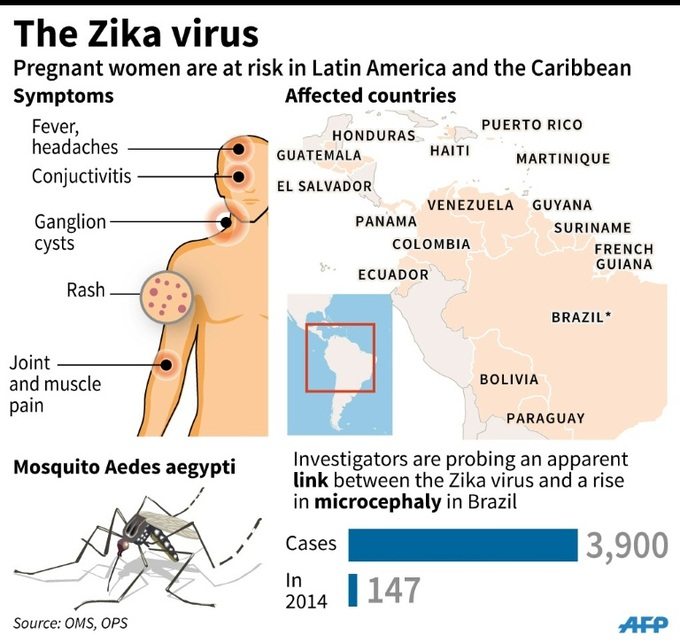 Zika virus 'spreading explosively': WHO chief - 2