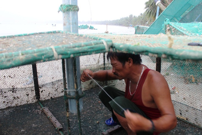 Storm Damrey causes huge losses for lobster farmers in Phu Yen - 6
