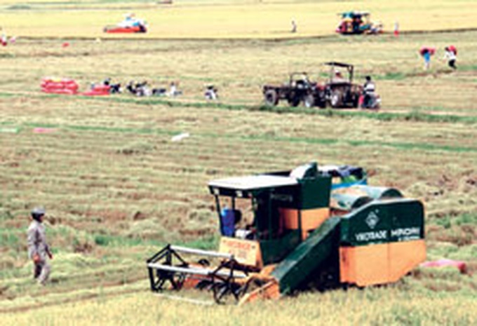 Farmers join world trend to go ‘green' - 1