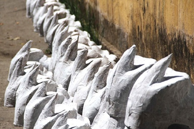 Unicorns bring festival magic - 4 Unicorns bring festival magic - 4