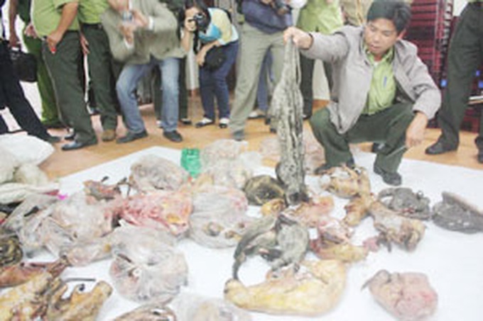 Wildlife traffickers held, 16 rare animals rescued - 1