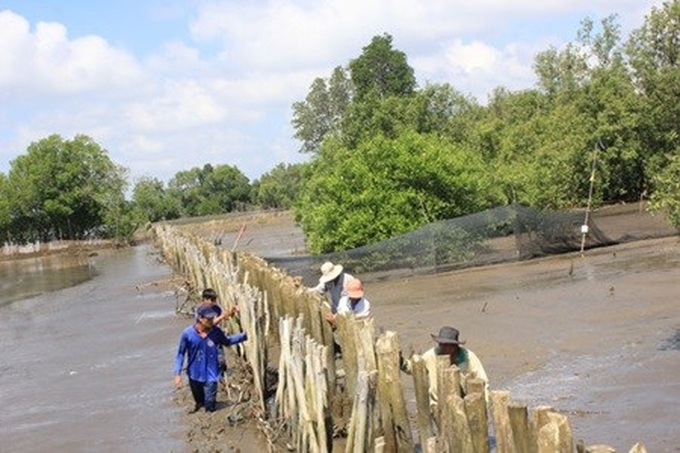 Community role in mangrove forest management - 1