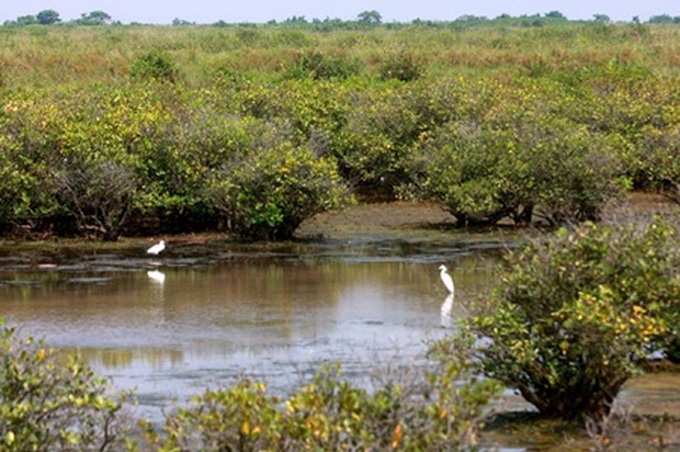 Inordinate growth focus hurts biodiversity - 1