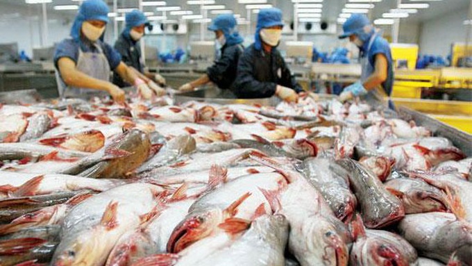 US imposes anti-dumping duties on Vietnamese tra fish - 1
