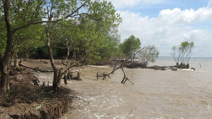 IFAD funds climate change adaptation project in Mekong Delta region - 1