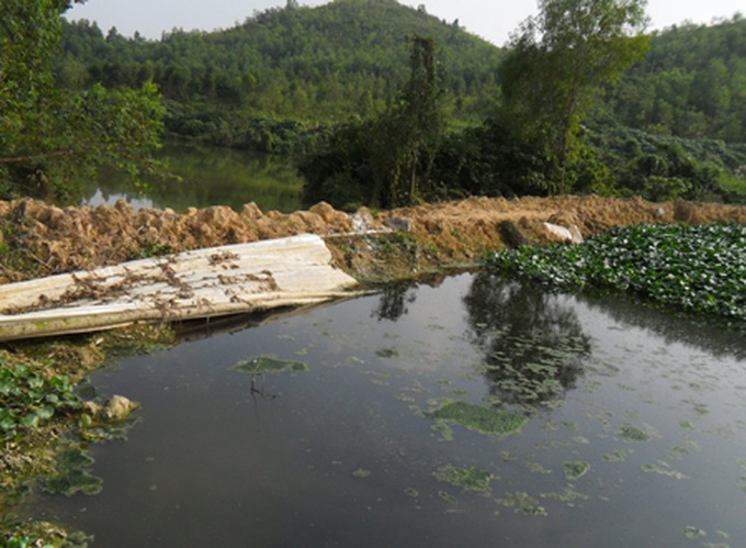 Locals attack pig farm in pollution protest - 4 Locals attack pig farm in pollution protest - 4