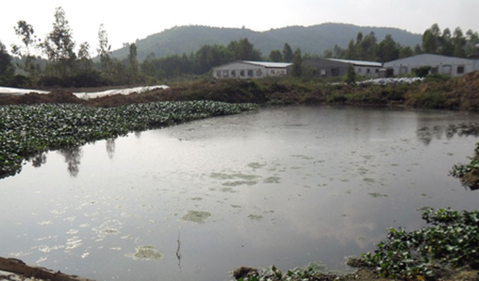Locals attack pig farm in pollution protest - 5 Locals attack pig farm in pollution protest - 5