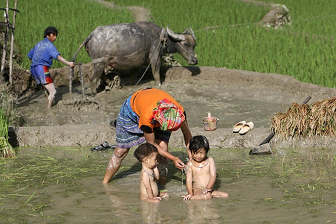 Life on the terraced mountain of Khau Pha - 12