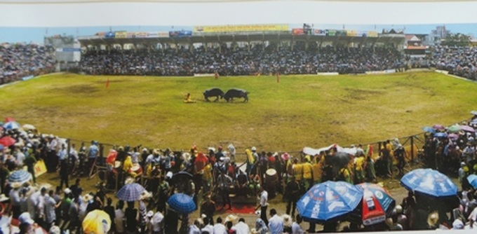 Photos featuring Vietnam’s heritage to be exhibited nationwide - 2