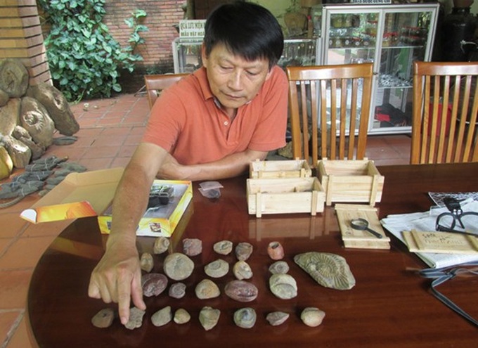 Cafe owner unknowingly collects million-year-old fossils - 1 Cafe owner unknowingly collects million-year-old fossils - 1