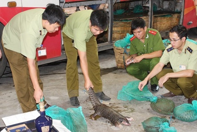 Wildlife trafficking poses risks to public health - 1