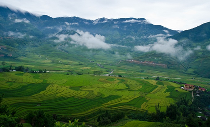 Tu Le Valley at harvest time - 8 Tu Le Valley at harvest time - 8