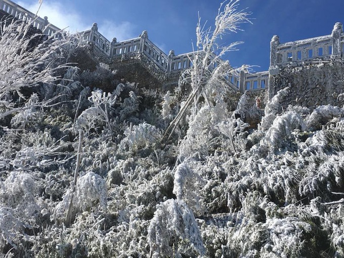 Fansipan covered in frost - 1