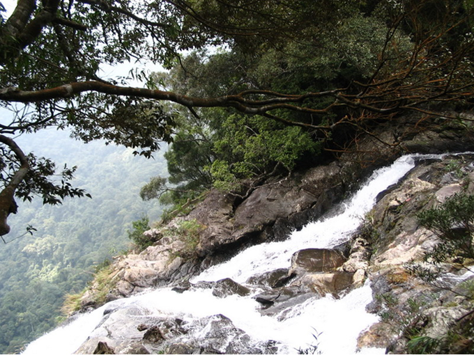 Centre for nature conservation built in Thua Thien-Hue - 1 Centre for nature conservation built in Thua Thien-Hue - 1