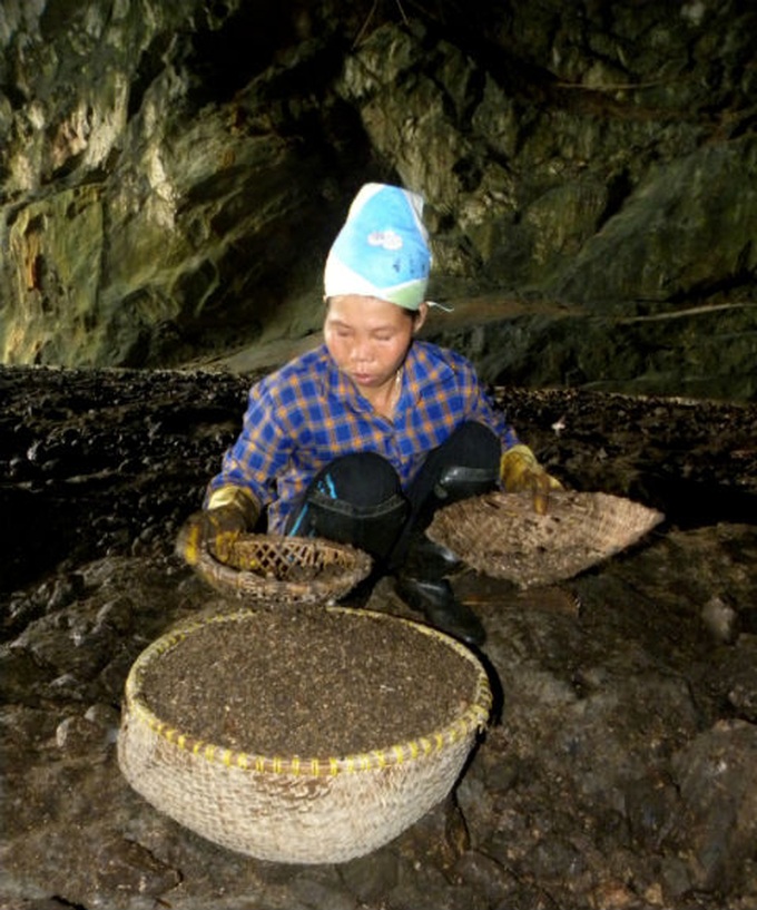 People make a living from bat guano collecting - 4