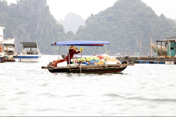 Ha Long Bay has second clean-up day - 1