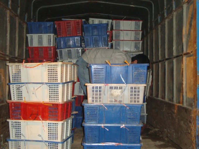 Ha Tinh police make large wild animal smuggling bust - 1 Ha Tinh police make large wild animal smuggling bust - 1