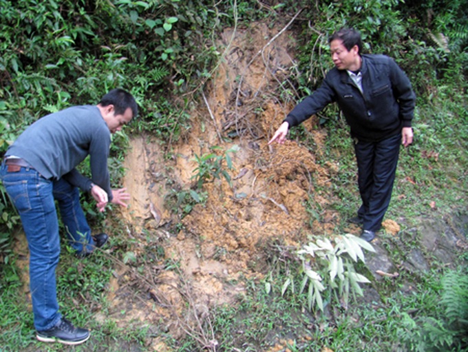 Elephant facing extinction at Ha Tinh National Park - 2 Elephant facing extinction at Ha Tinh National Park - 2
