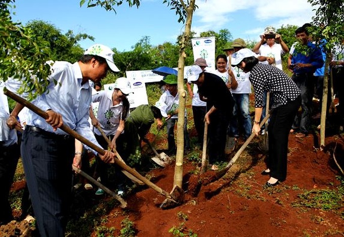 Fund helps grow trees around Dien Bien Phu - 2