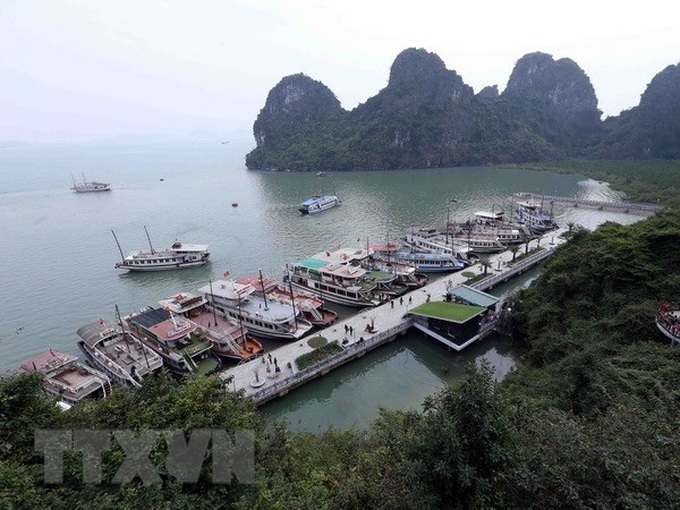 Ha Long suspends licenses of 36 cruise ships - 1