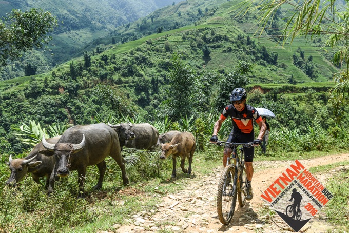 Vietnam Mountain Bike Marathon set for Nov 4-6 in Sapa - 2