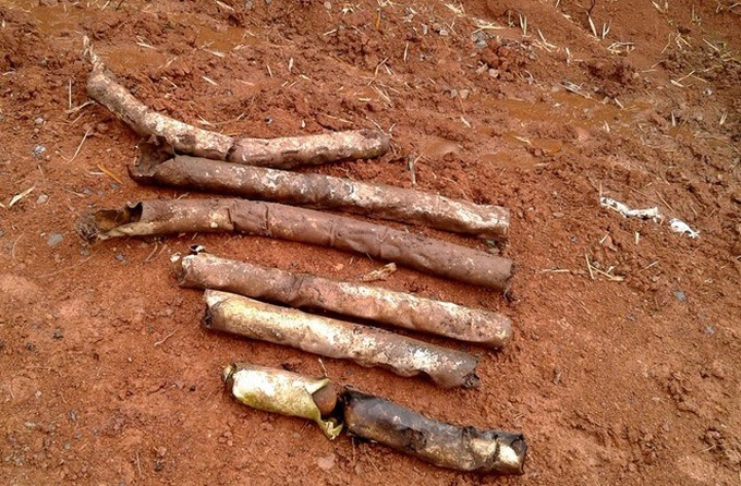 60 bomblets found in Quang Tri province - 1 60 bomblets found in Quang Tri province - 1
