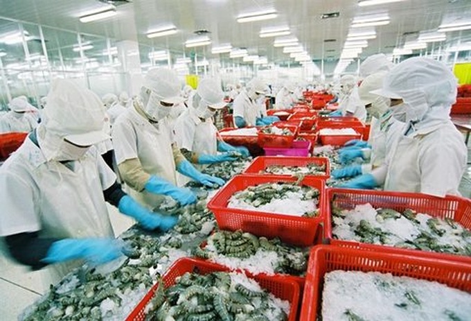 EU to inspect Vietnam seafood exporters - 1 EU to inspect Vietnam seafood exporters - 1