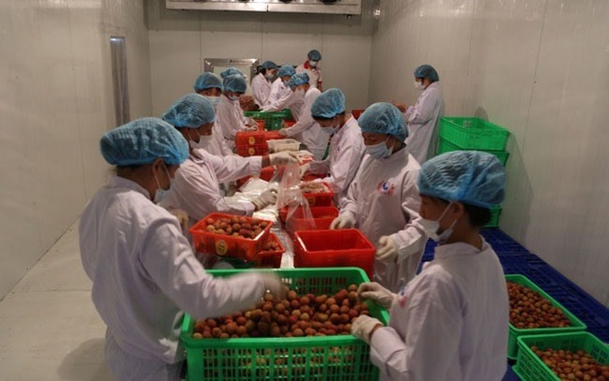 Fruit industry needs technology to reach potential - 1