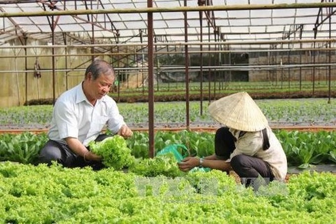 Vietnam plans 500 hi-tech agricultural cooperatives by 2020 - 1