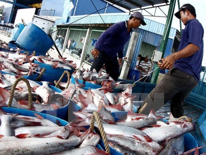 VASEP: No year-end surge in tra fish, shrimp exports to US - 1