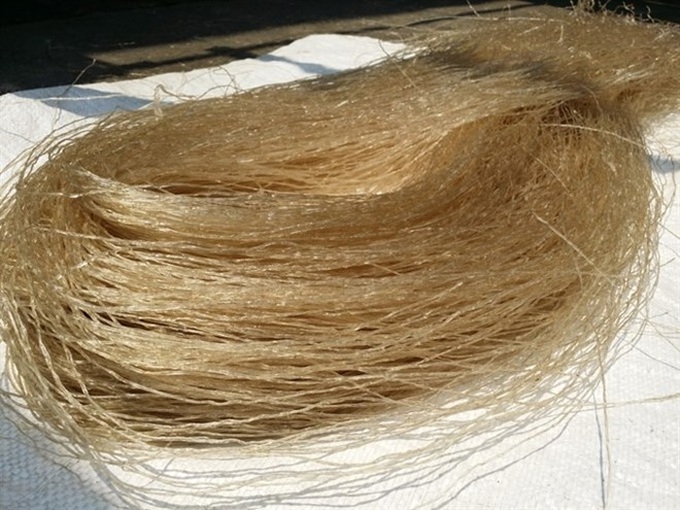 Cellophane noodles are great for New Year - 1