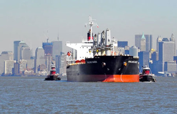 Vinalines asks to cut investment - 1