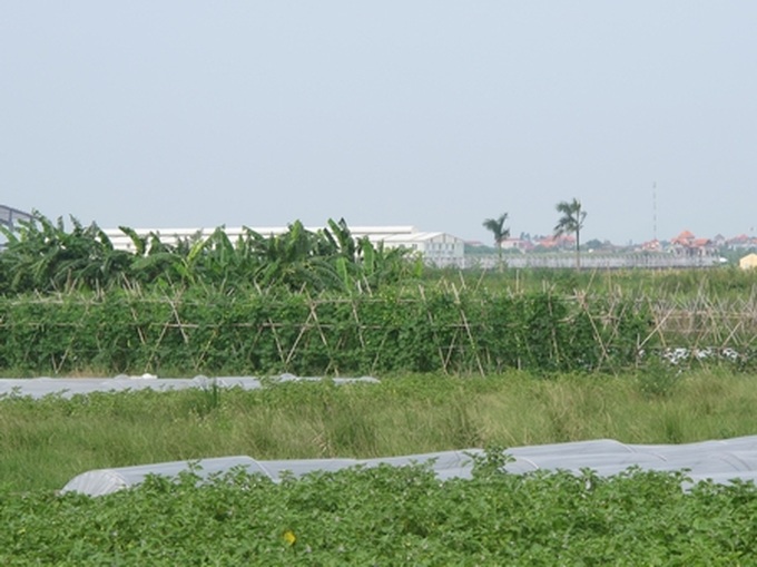 Huge urban area projects abandoned in Me Linh - 3