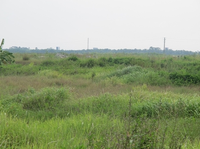 Huge urban area projects abandoned in Me Linh - 7
