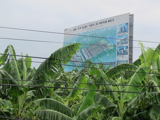 Huge urban area projects abandoned in Me Linh - 10