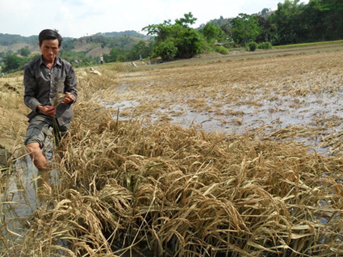 Broken dyke leaves farmers in misery - 2