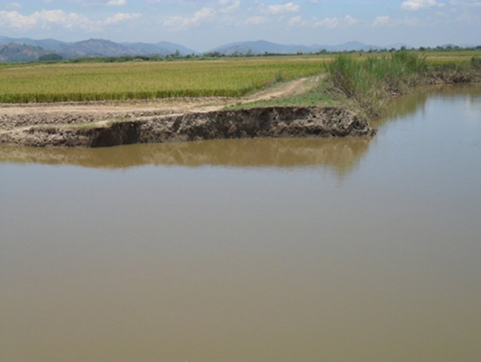 Broken dyke leaves farmers in misery - 1