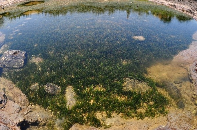 11 million year old volcano in central Vietnam - 2 11 million year old volcano in central Vietnam - 2