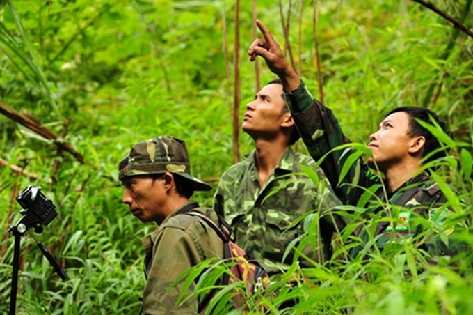 Half of world's Tonkin monkeys found in Vietnam - 3