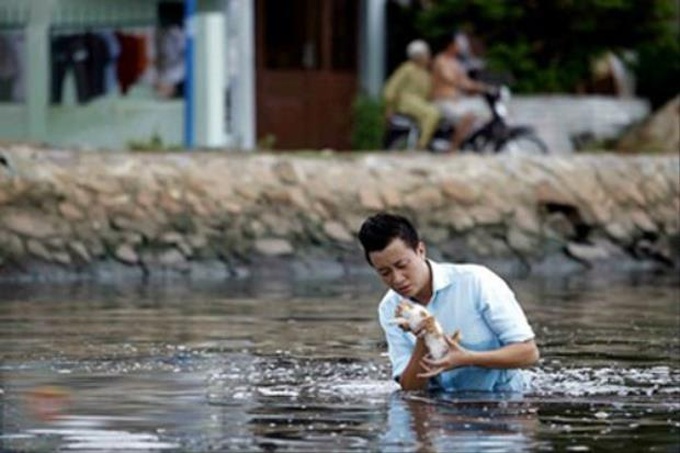 Vietnamese film sparks animal rights debate - 2 Vietnamese film sparks animal rights debate - 2