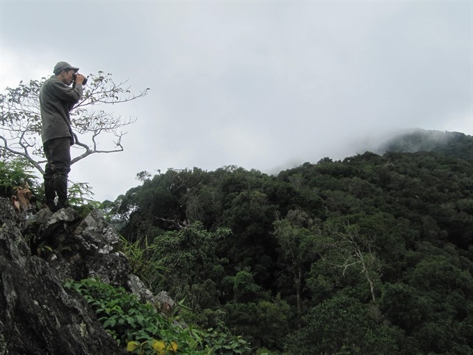 Central province to protect endangered langurs - 1 Central province to protect endangered langurs - 1