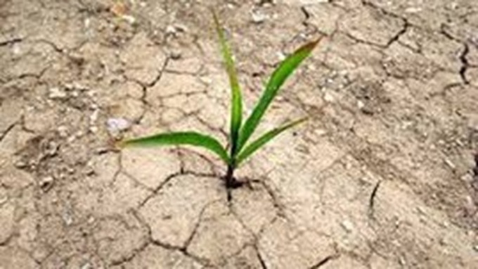 Regional connectivity in response to climate change - 1