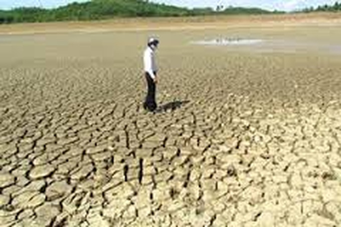 Ninh Thuan declares drought emergency - 1 Ninh Thuan declares drought emergency - 1