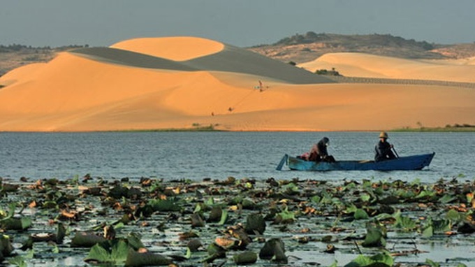 A destination for waves and sand - 1