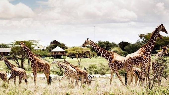 Vietnam’s first wildlife park launched in Phu Quoc - 1