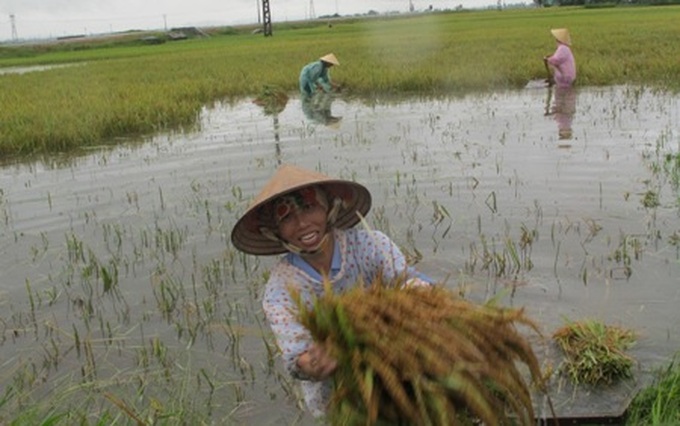 Flood kills five in central region - 8