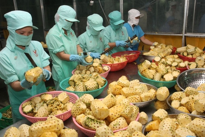 PM praises MoIT as leader in cutting regulations - 1