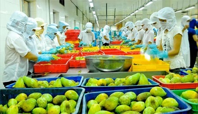 Vietnam targets vegetable, fruit export value at $3b - 1