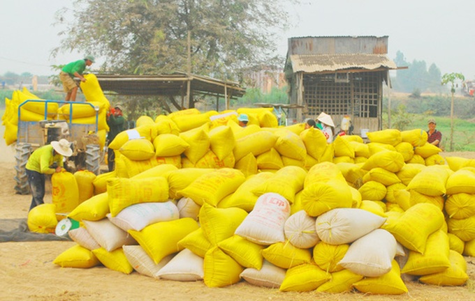 Rice exports sharply fall - 1