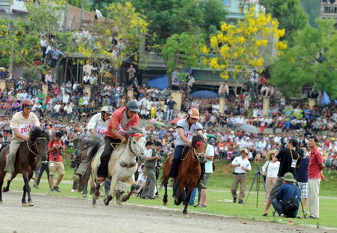 Horse race festival stirs up Bac Ha District - 1